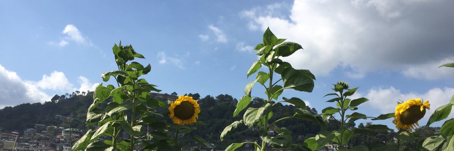 burceeee_'s profile banner image