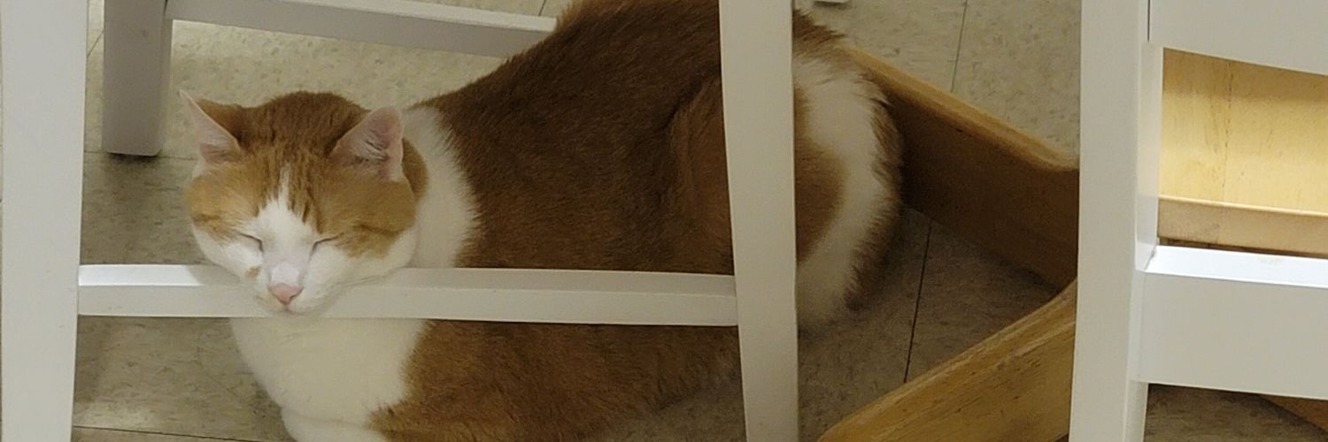 BootsnMary's profile banner image