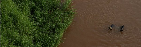mud_Iark Profile Banner