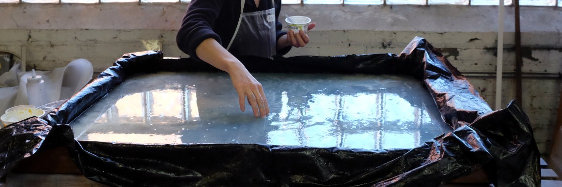 Morgan Conservatory banner