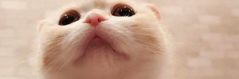 kimberlyk20's profile banner image
