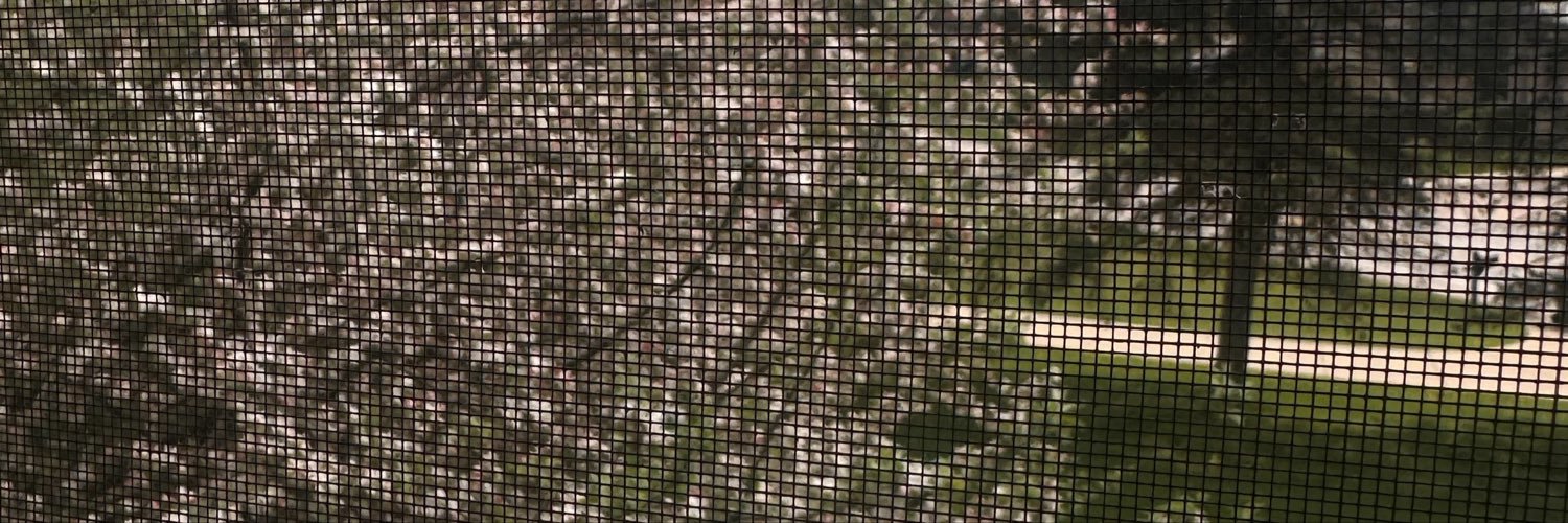 216_spider's profile banner image