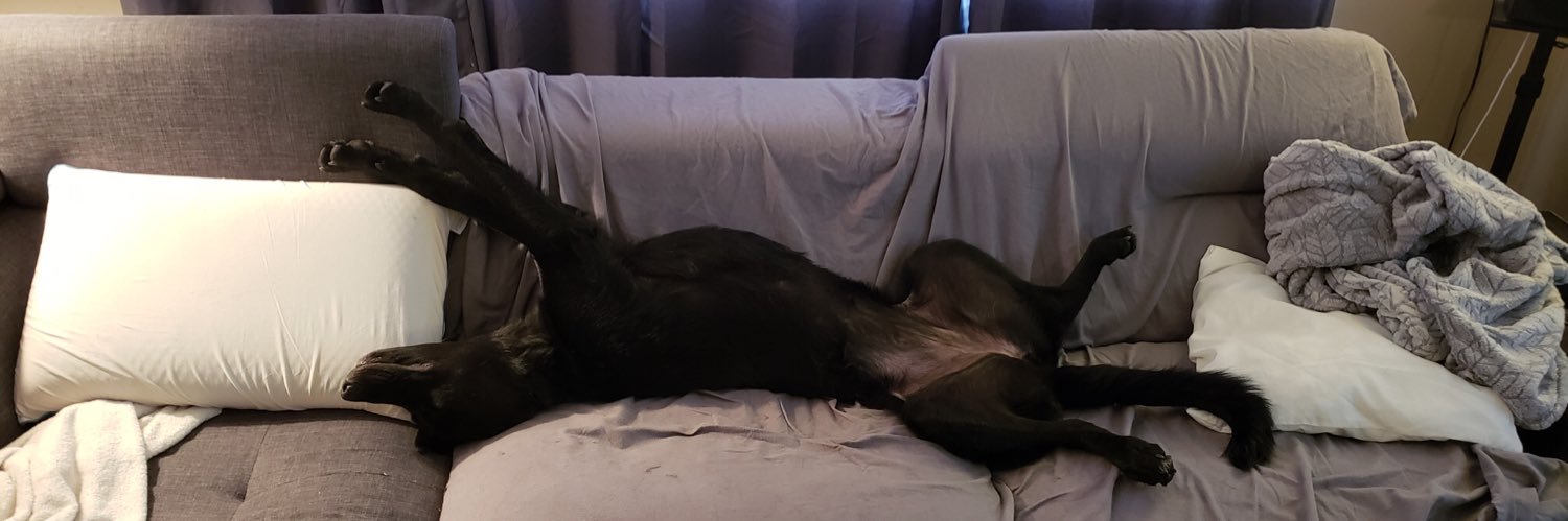 gwigglebutt's profile banner image