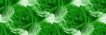ctrl_alt_roses's profile banner image