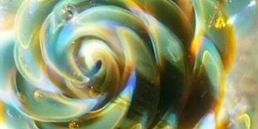 treebaser's profile banner image