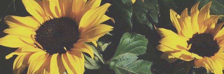 key_madison's profile banner image