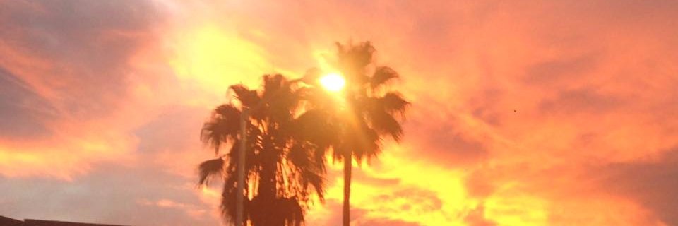 Jose_Mmendez's profile banner image