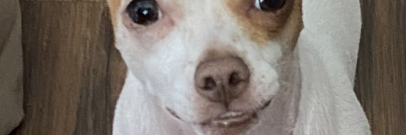 Nicholasblvs's profile banner image