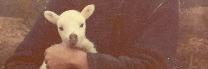 Кларенс ☘️ banner