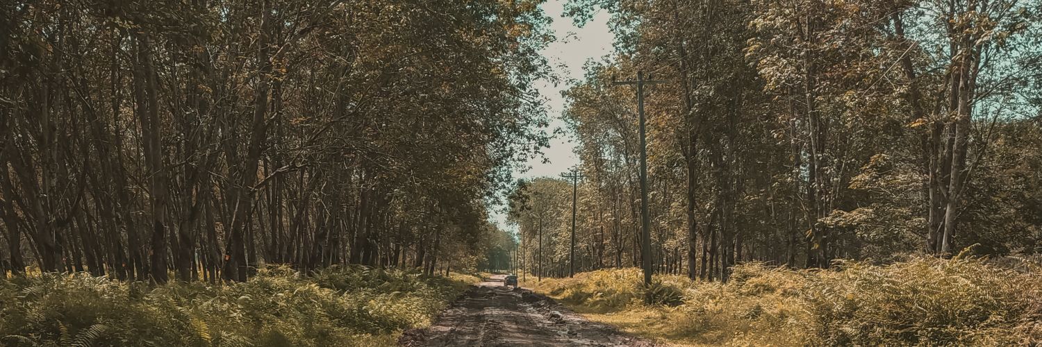 rmyksm's profile banner image