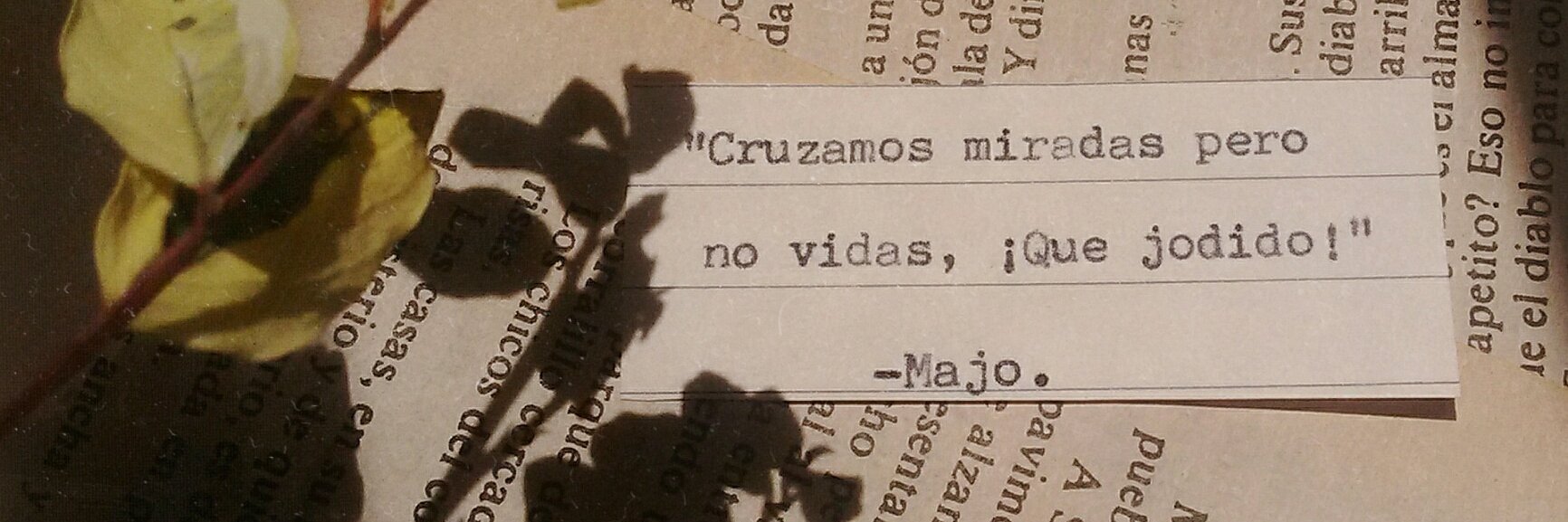 MariaJosePoem's profile banner image