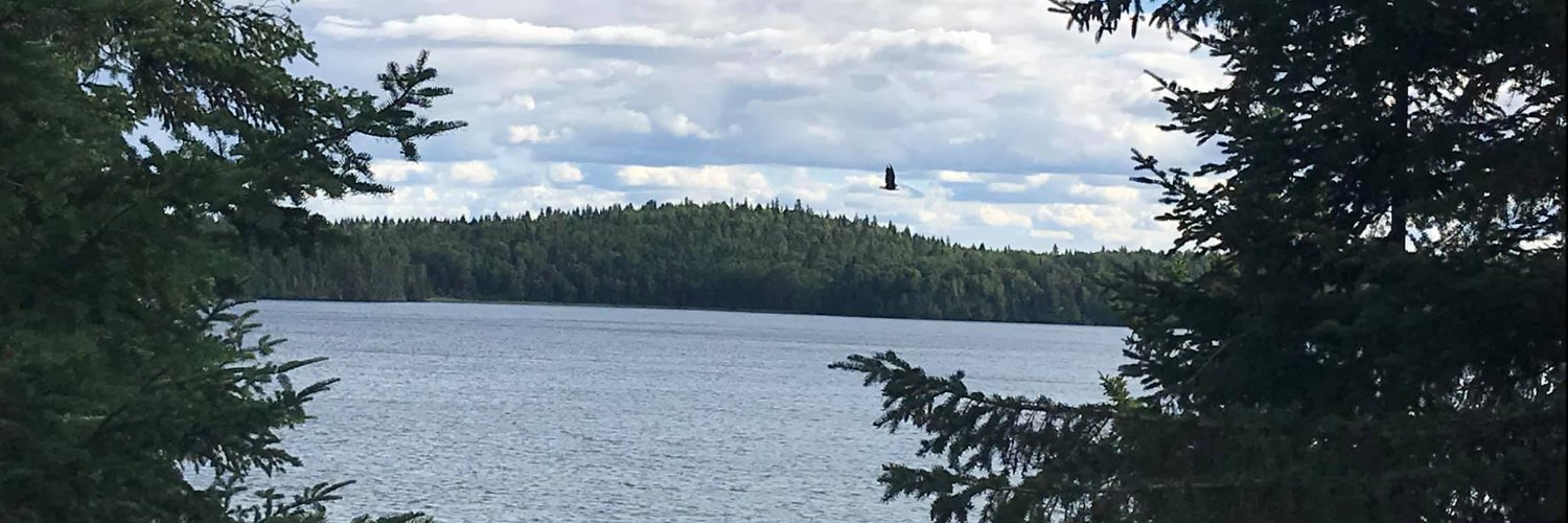 Trudy Sachowski banner