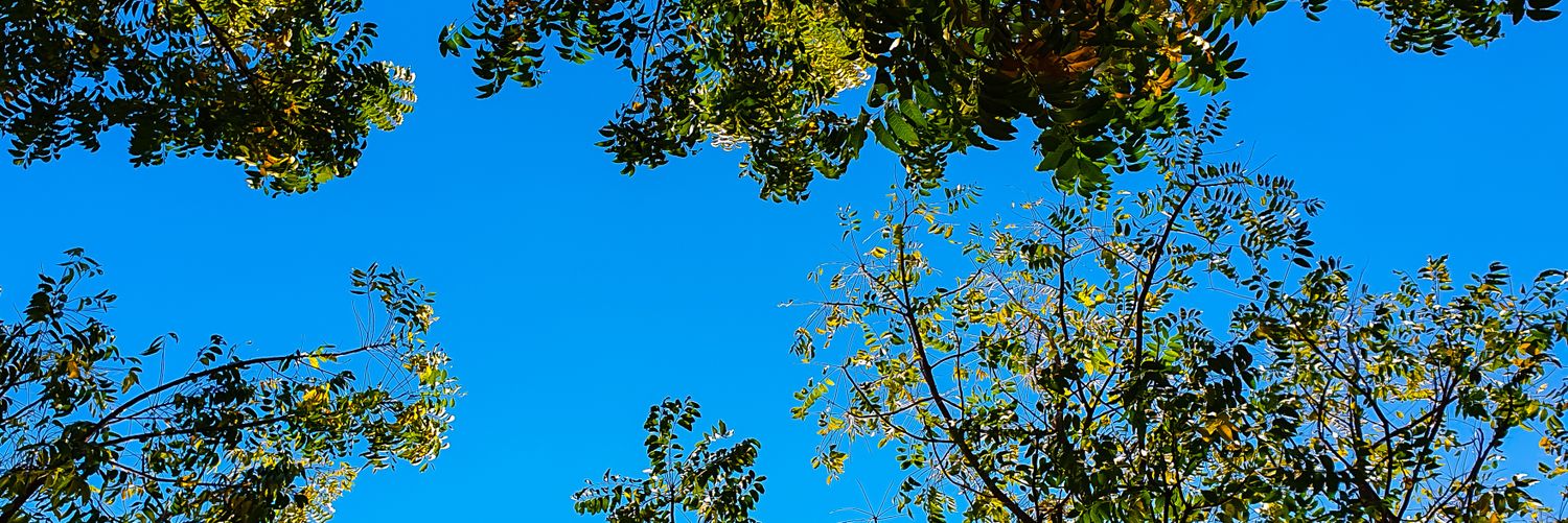aioo_ooai's profile banner image