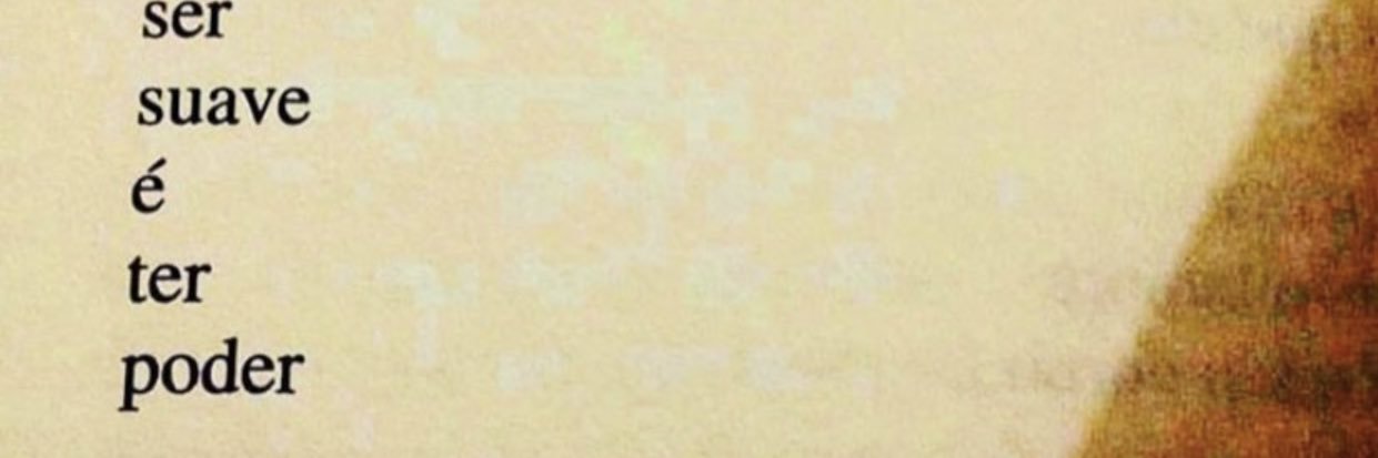 PMirandees's profile banner image
