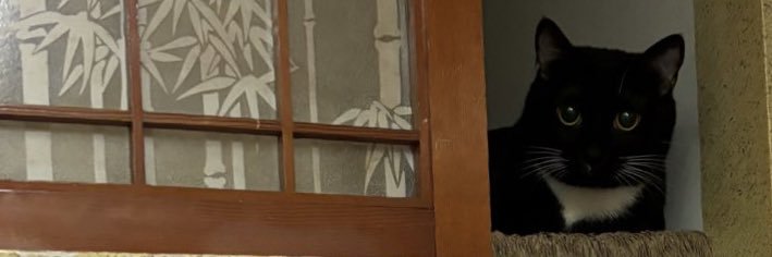 スシズミ🍣 banner