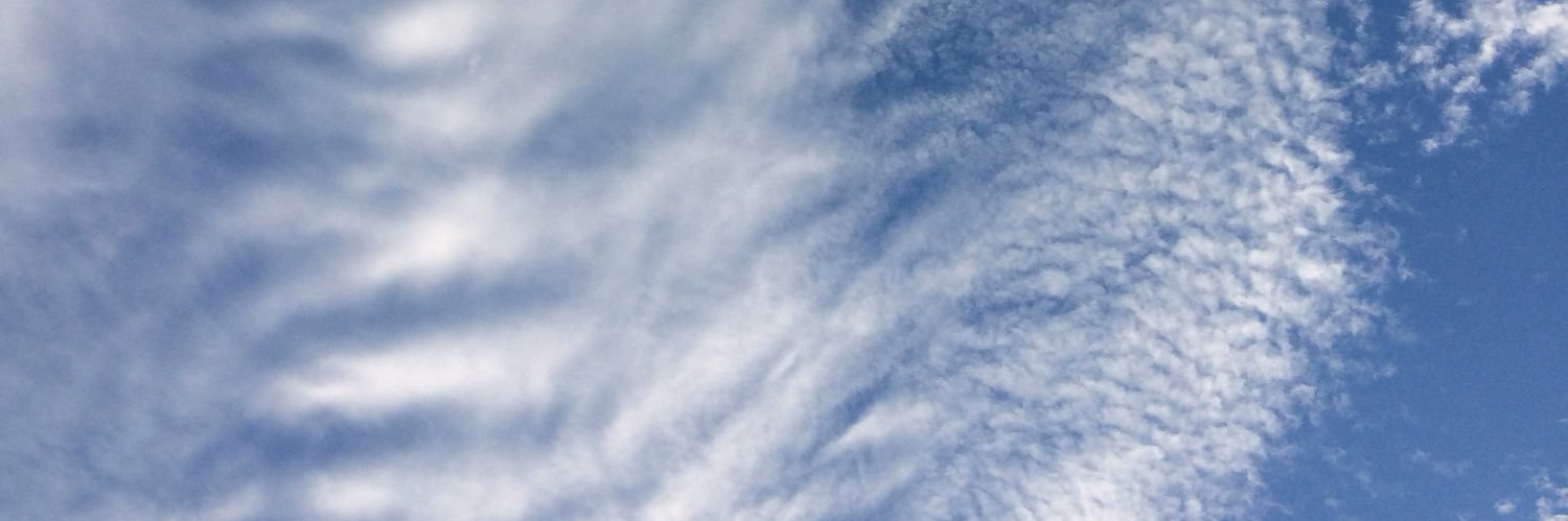 V banner