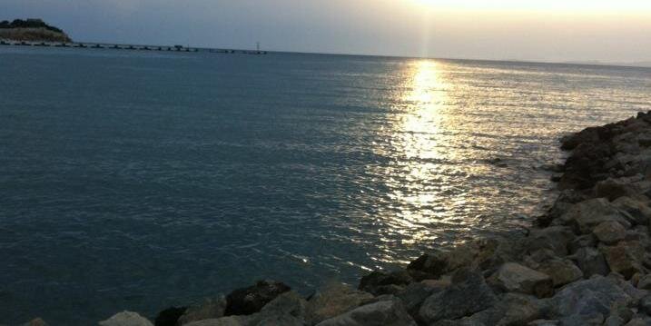ALİ banner