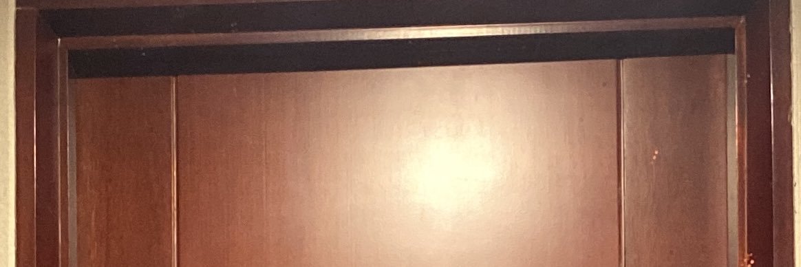 지은 샤프 🇵🇸 banner