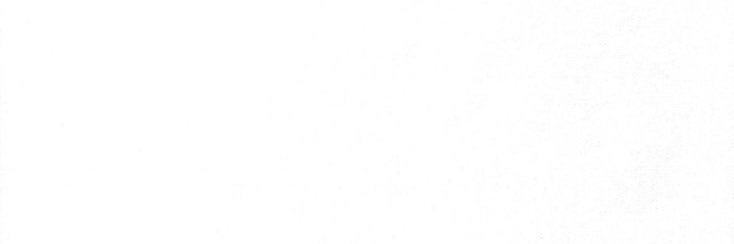 SolendayE's profile banner image