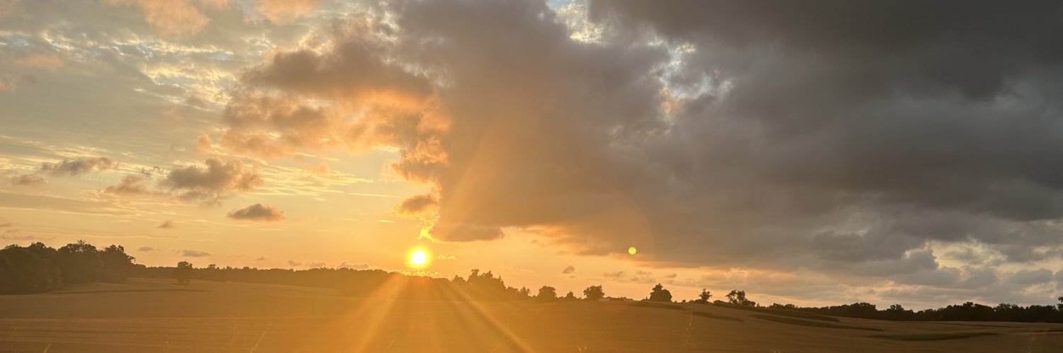 Morganne Andrews banner