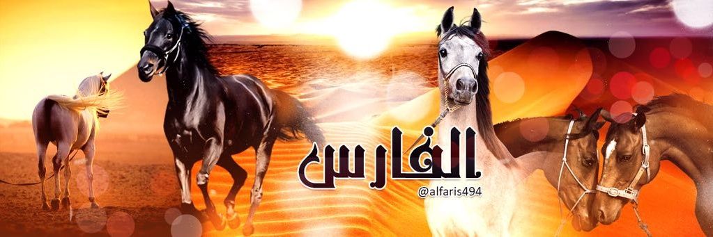 alfaris494's profile banner image