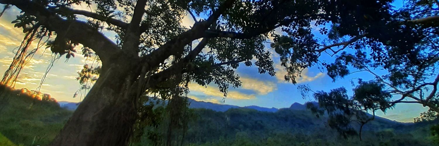 Bibigaray's profile banner image