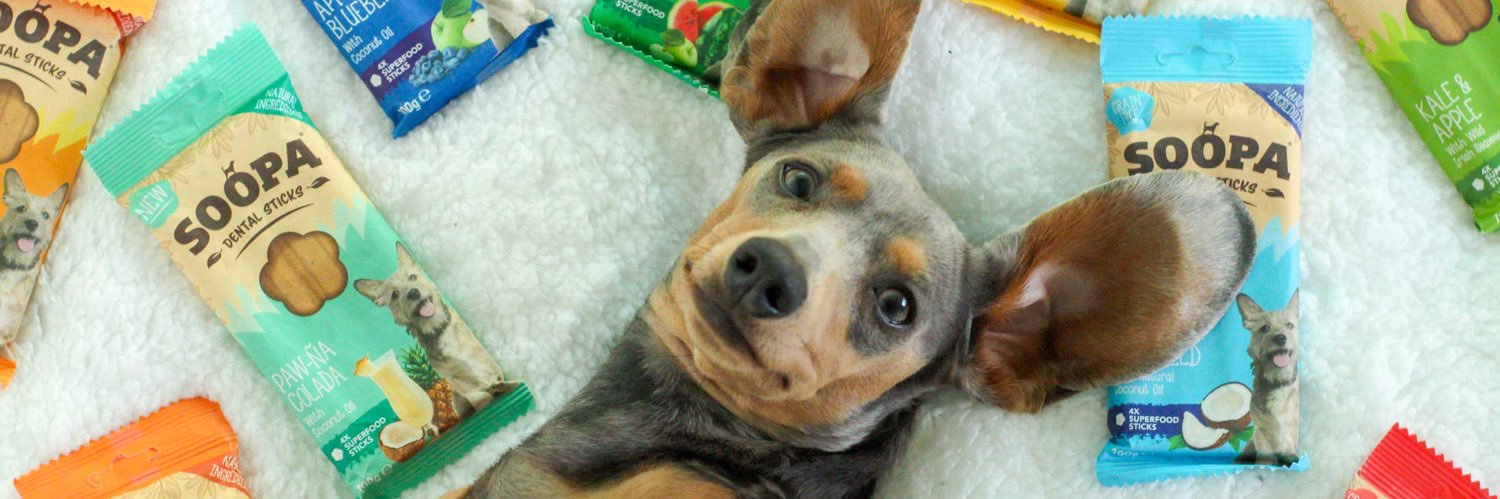 Soopapets banner