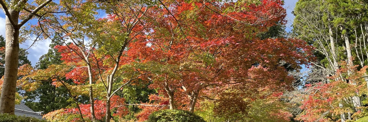 しんちゃん banner