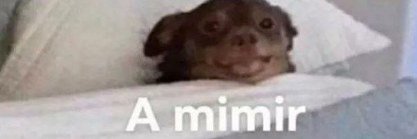 laremnds's profile banner image