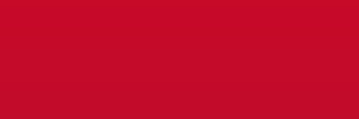 LAVIDA LOCA banner