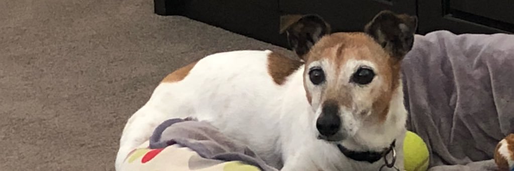 SuzyB3's profile banner image