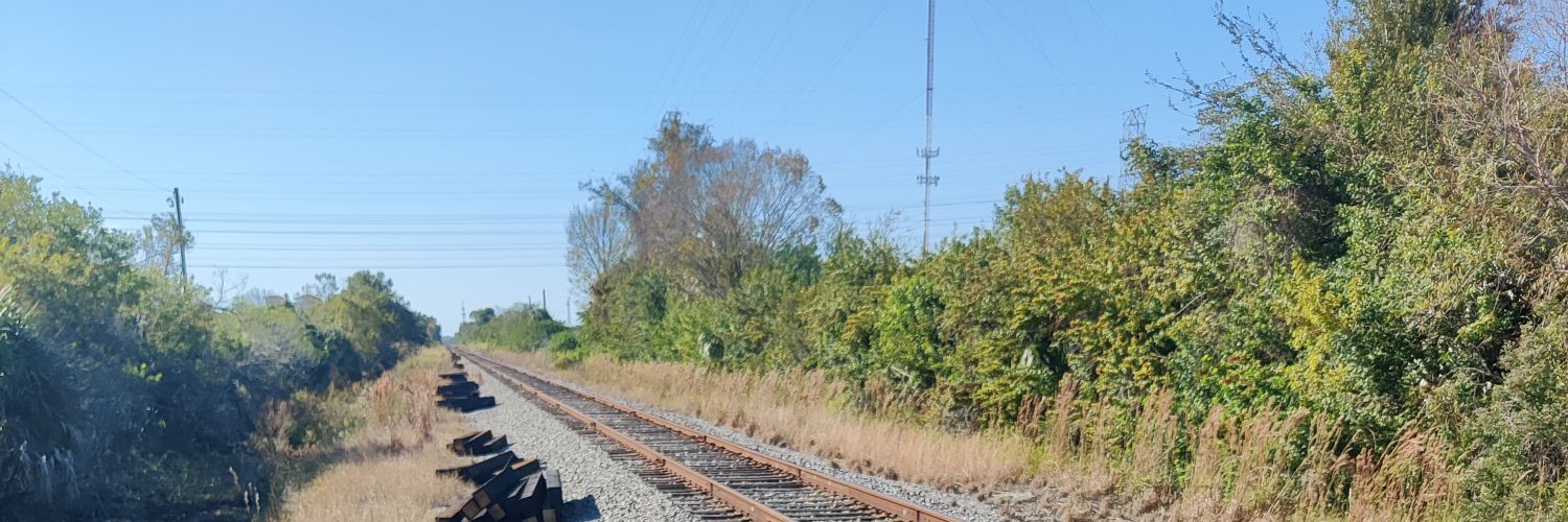 neswiz17's profile banner image