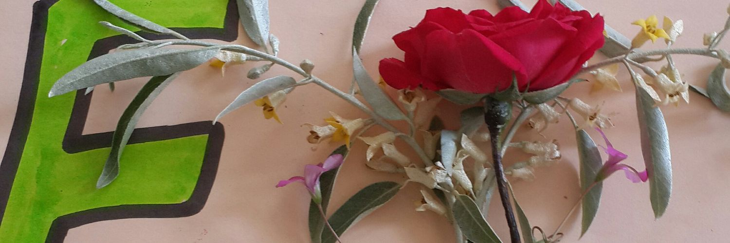 Elikann's profile banner image