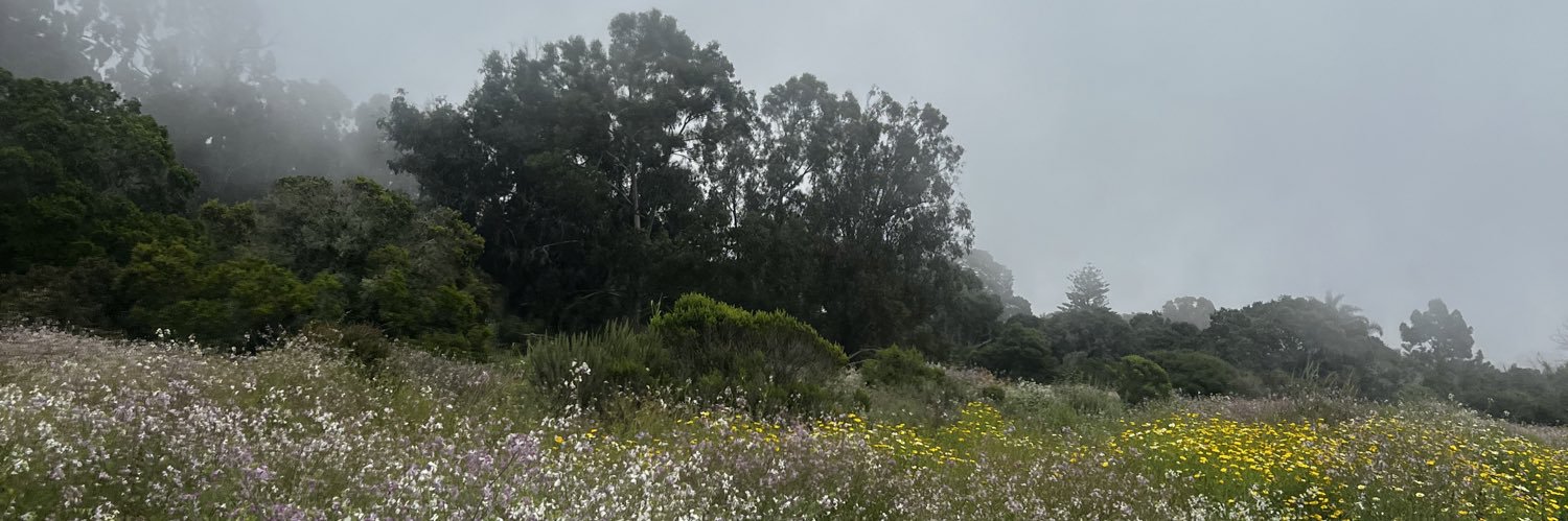 James Patrick McQueen, MS, CSCS banner