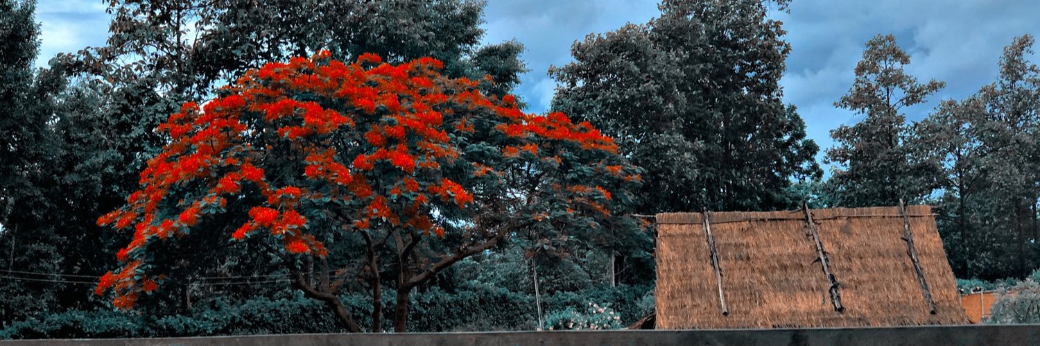 vv_anessaaa's profile banner image