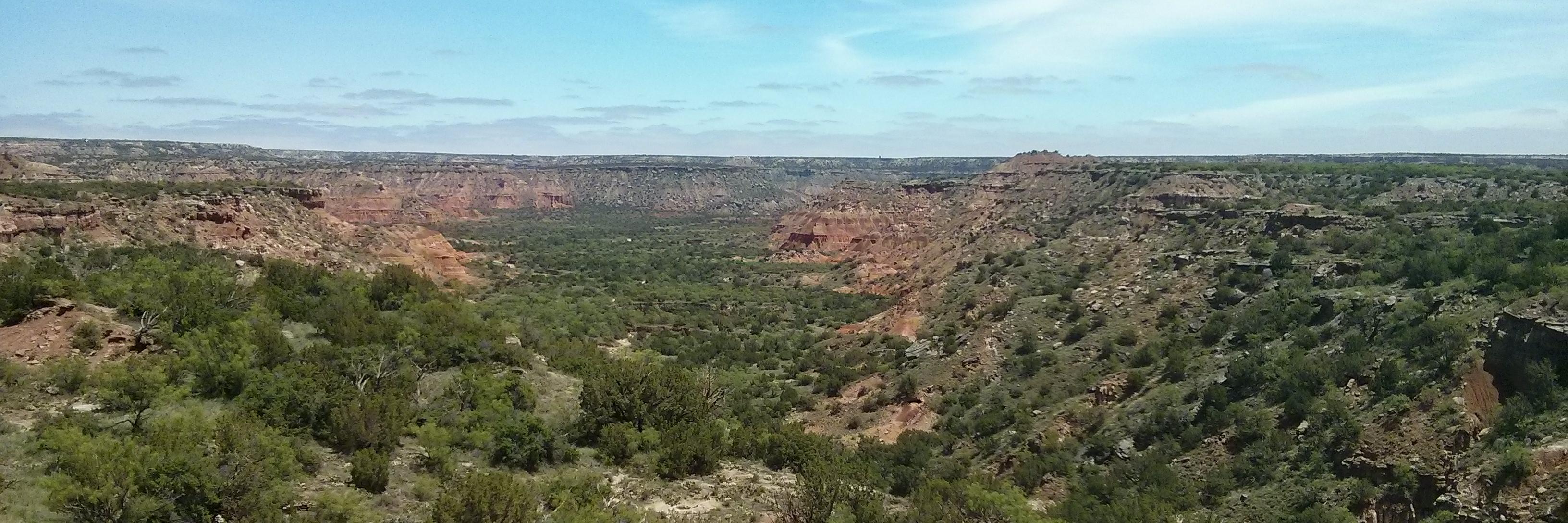 RobynRossATX's profile banner image
