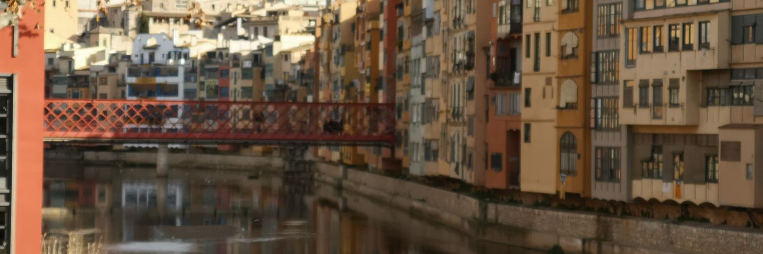 Alexandre Broggi banner