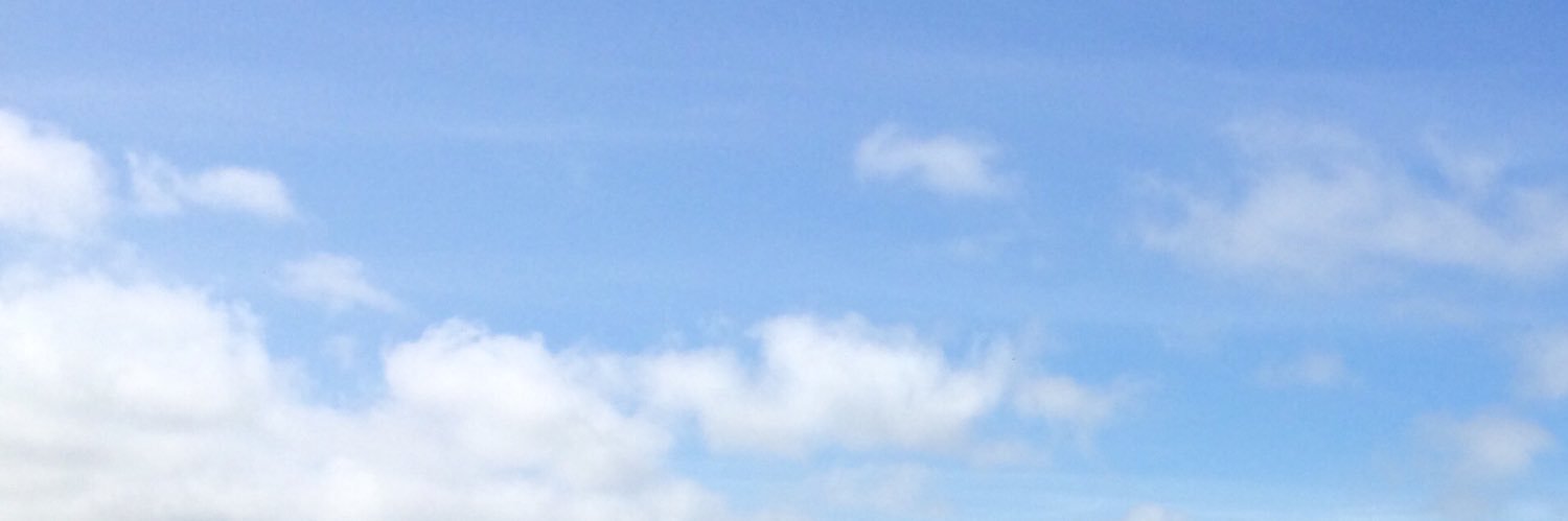 aoife ní ráine banner