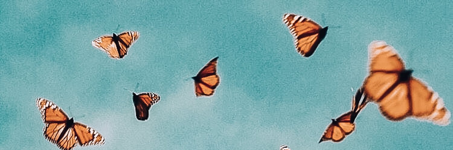 shelbysaak's profile banner image