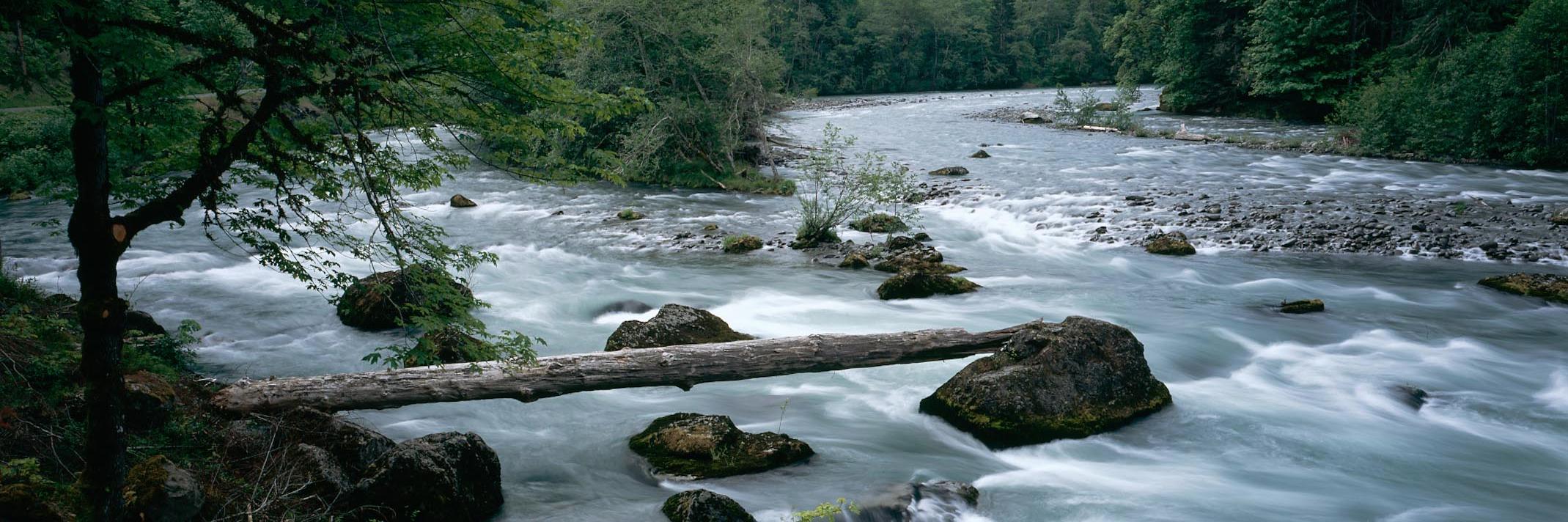 theriverchaska's profile banner image
