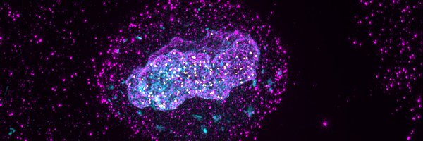 olivier_debora Profile Banner