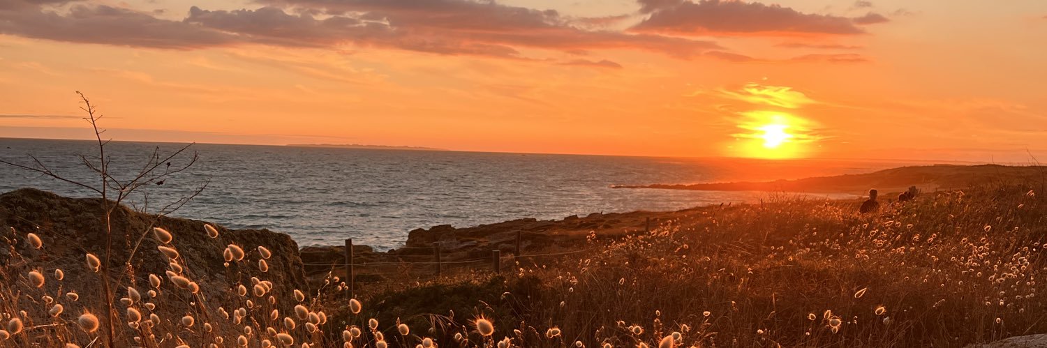 lreadydead's profile banner image