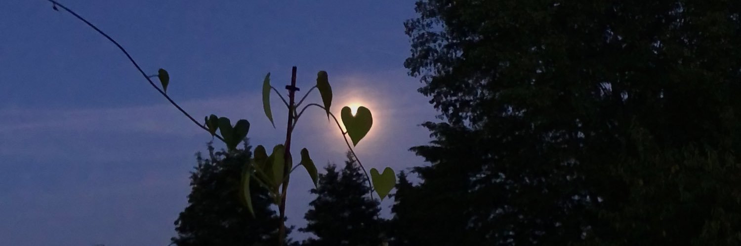 kelyagsr's profile banner image