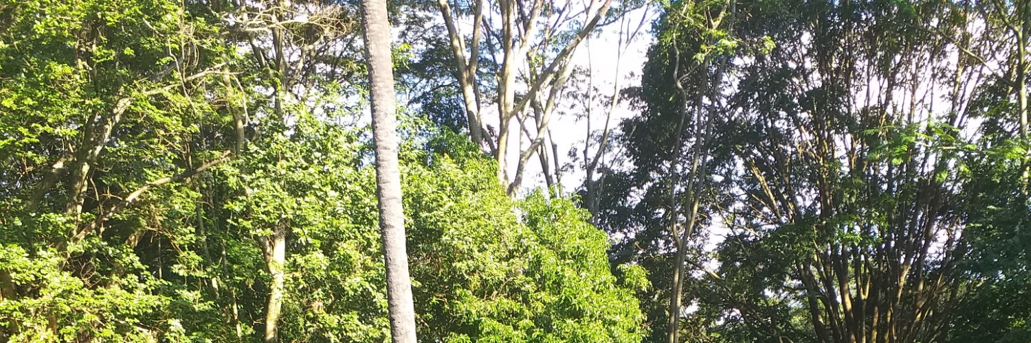 Ben Malinga John banner