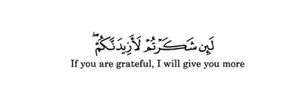 myhppylittlepil Profile Banner