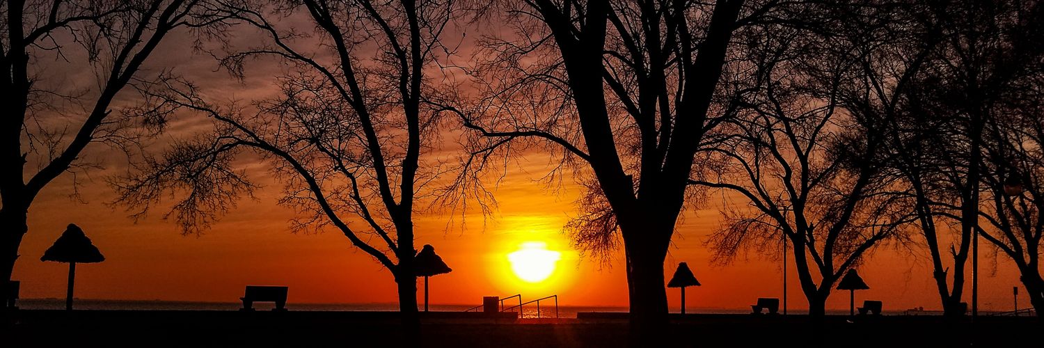 _fefe_leo's profile banner image
