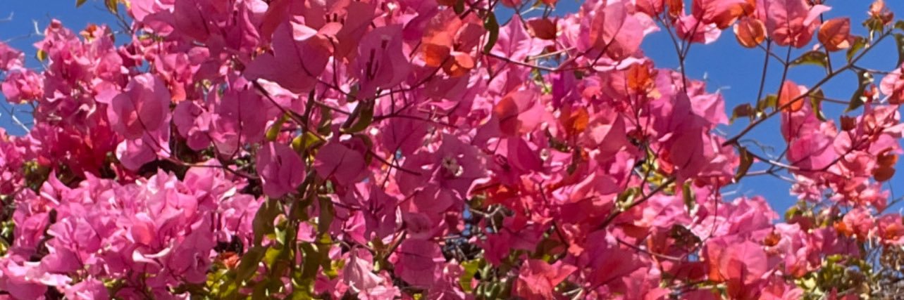 josephuong's profile banner image