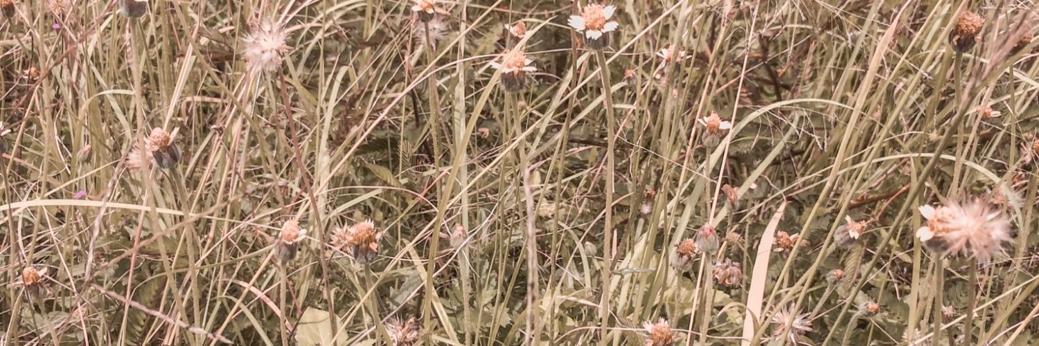 bbmiwww's profile banner image