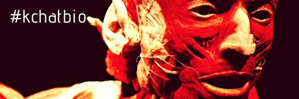 kchatbio Profile Banner