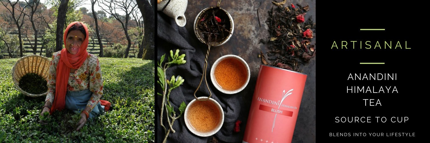 AnandiniTea's profile banner image